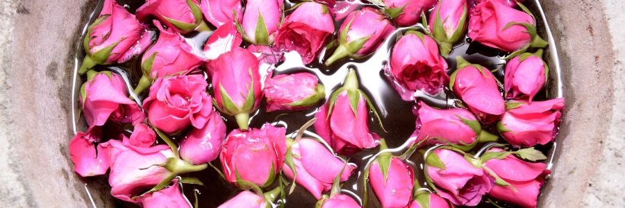 The Benefits of Rose Water: A Versatile and Soothing Skincare Ingredient